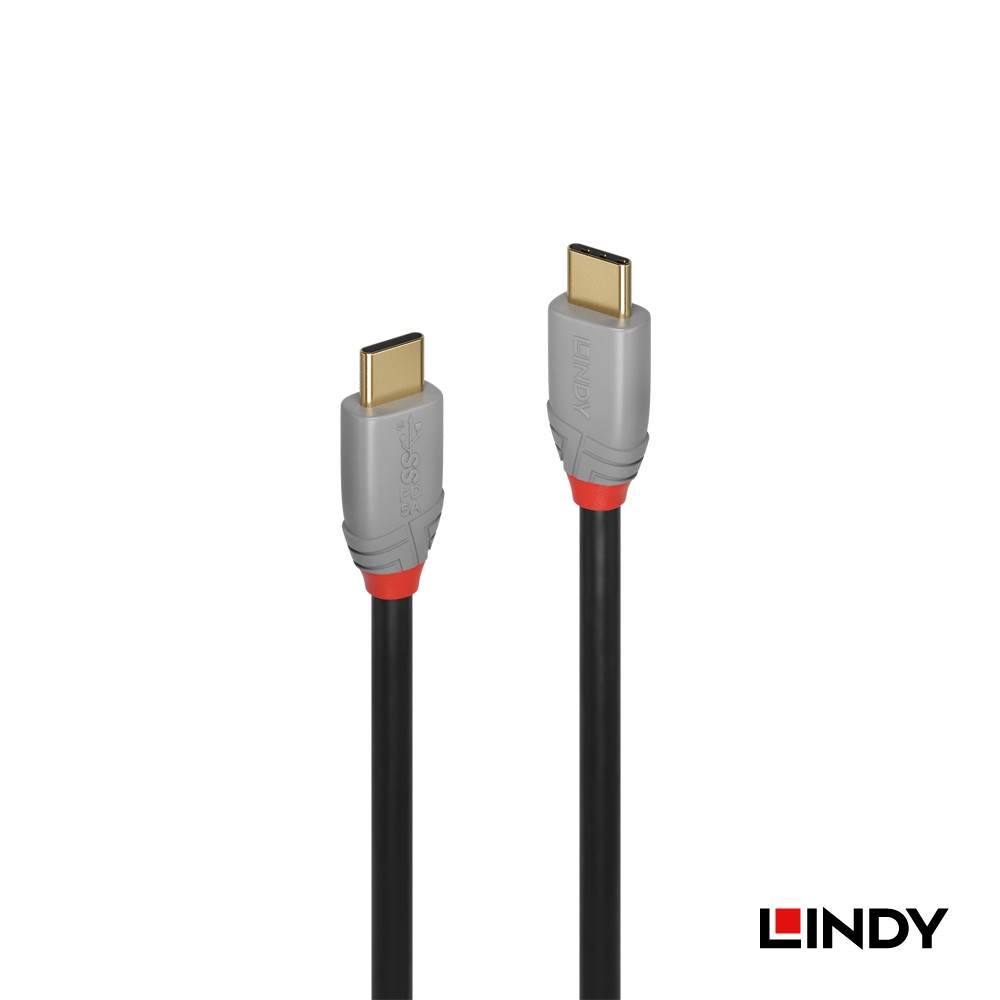 林帝 USB3.1 Gen2 TC 公:公傳輸線+PD智能電流晶片0.5米(36