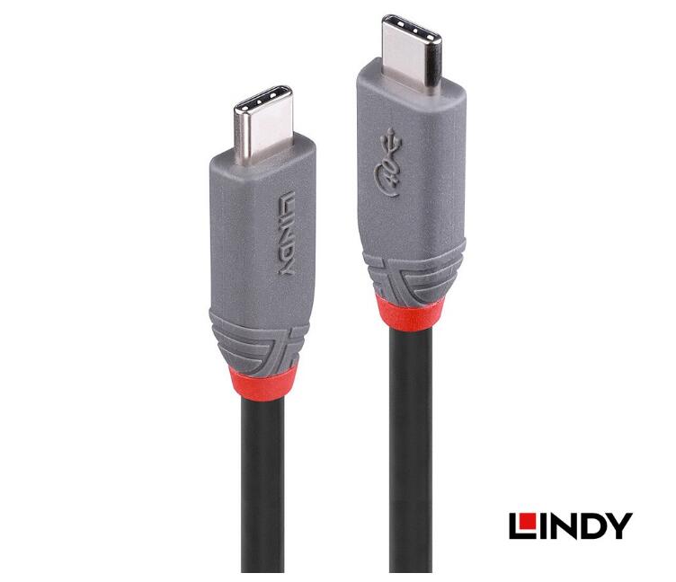 USB 4 GEN 3X2 TYPE-C公 TO 公 傳輸線+PD晶片 0.8M
