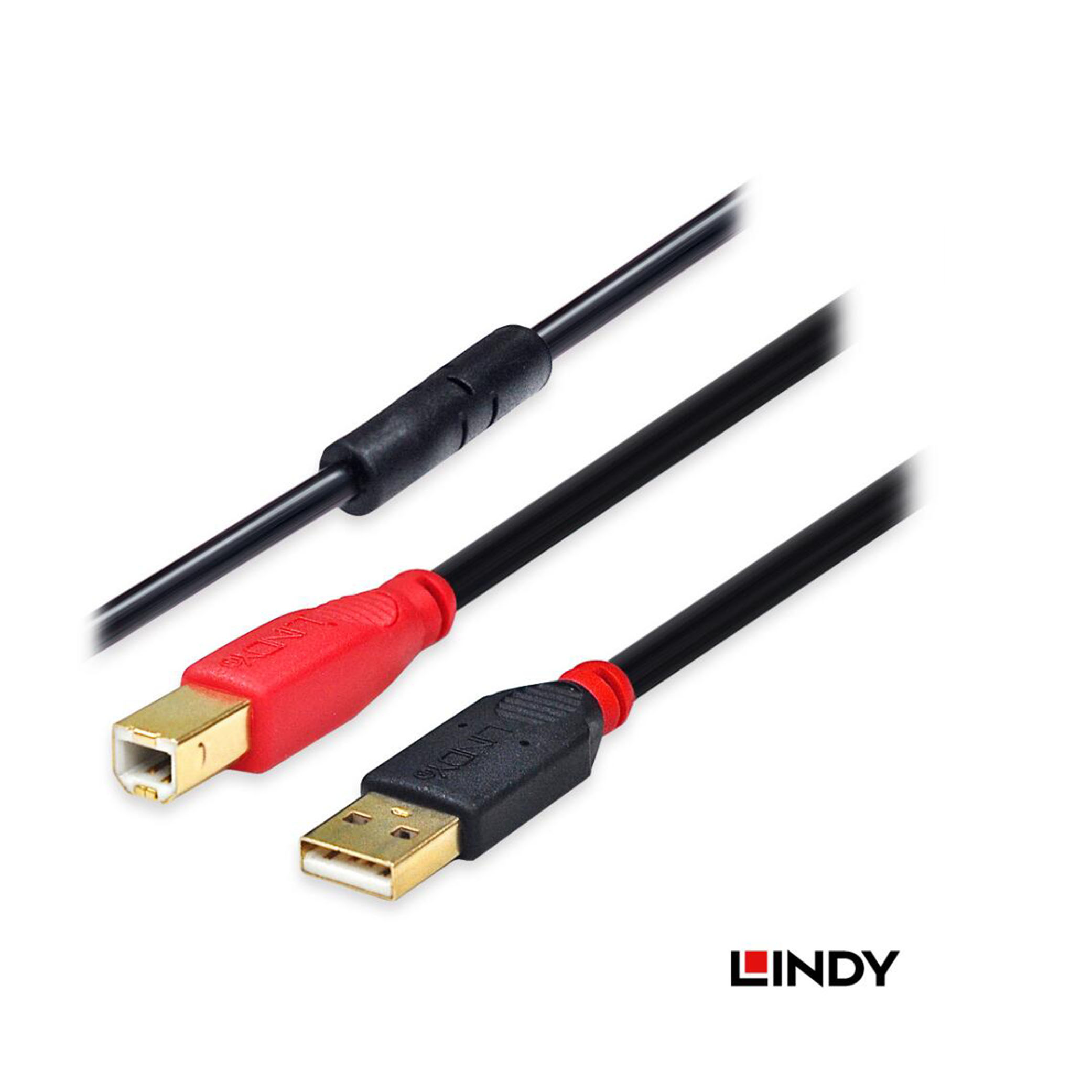 林帝 主動式A公:B公 USB2.0 延長線 10米(42761)